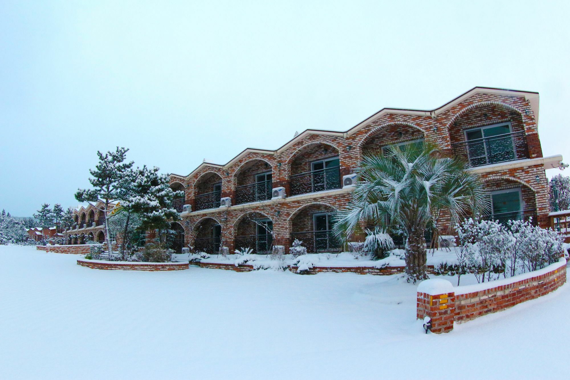 Jeju Ts Youth Hostel & Resort Сеогвипо Екстериор снимка